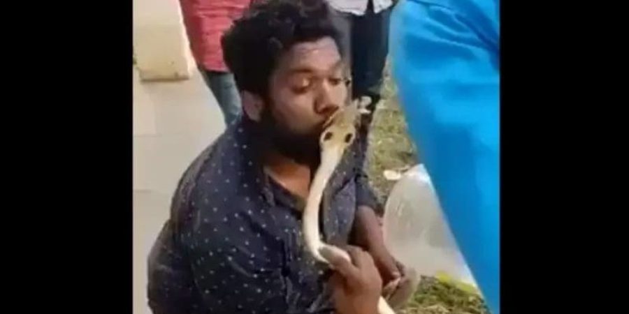 من مقطع الفيديو