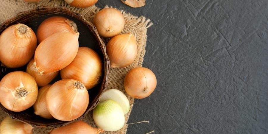 تاريخ البصل وفوائده واستخداماته عند الحضارات المختلفة على مر العصور ـ شترستوك