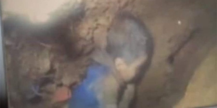 الطفل ريان: الحياة لا تزال تدب في جسده الضعيف.